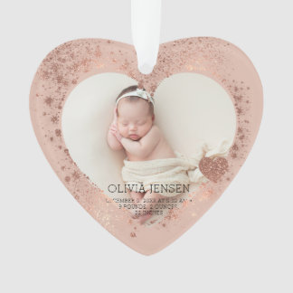 Pailleté Rose Gold Statistiques de Naissance Photo
