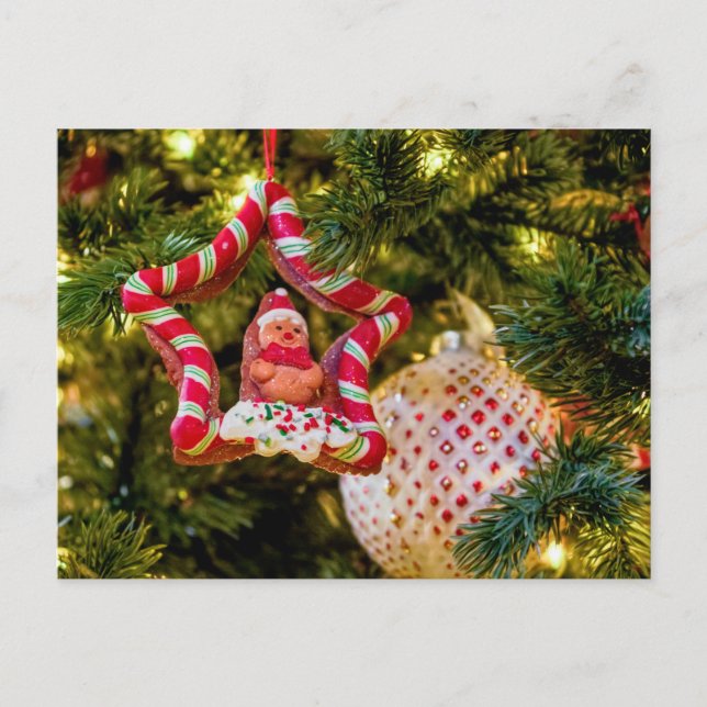 Pain d'épices - Carte postale (Devant)