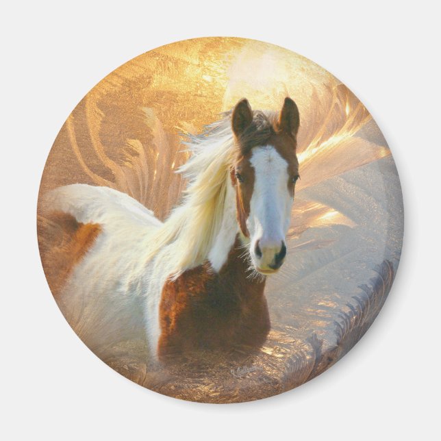 Paint Horse Gold Magnet (Devant)