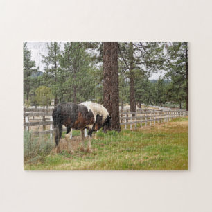 Paint Horse in Field Jigsaw Puzzle