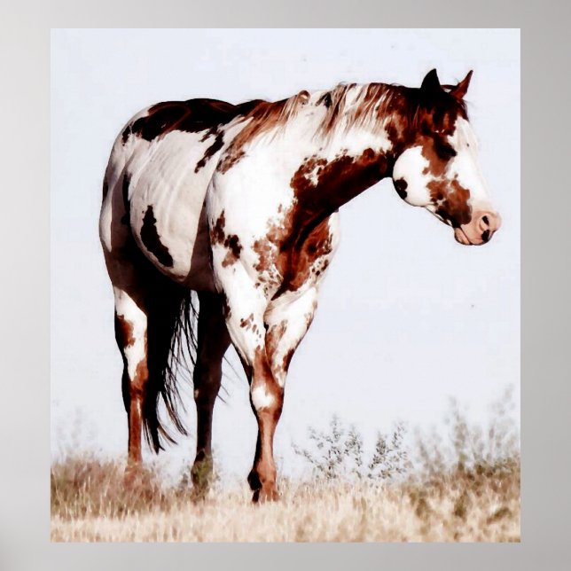 Paint Horse Watercolor Poster Print (Devant)