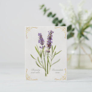 Painted Lavandula Vera Serenity et Calm