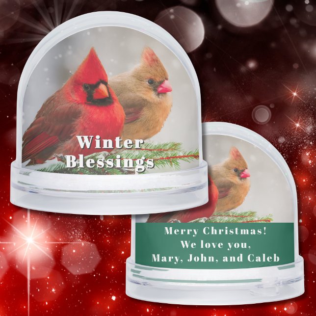 Paire cardinale en Pine Tree Salutations hivernale (Two northern cardinals snuggle on a cold winter's day in this beautiful snow globe gift for anyone.)