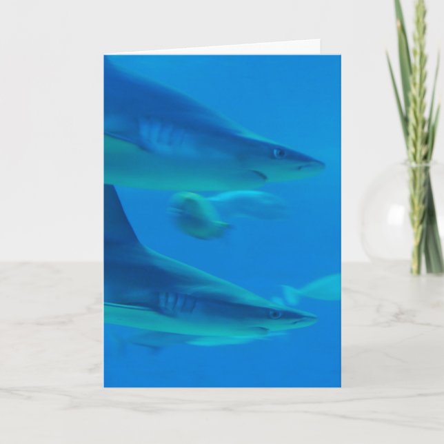 Paire de cartes de notes pour requins (Devant)