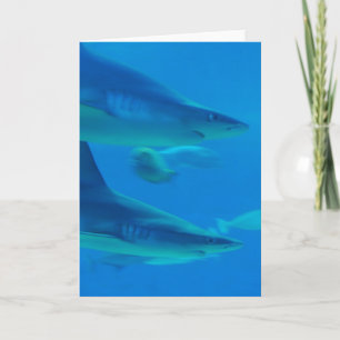 Paire de cartes de notes pour requins