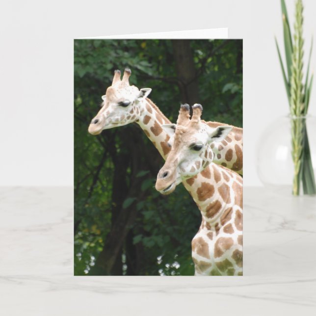 Paire de cartes de voeux Giraffes (Devant)