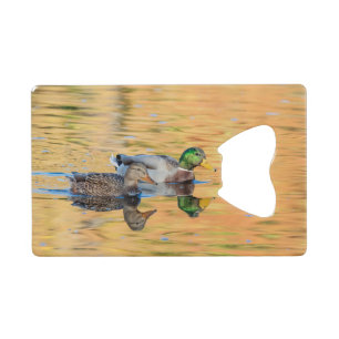 Paire de Mallards