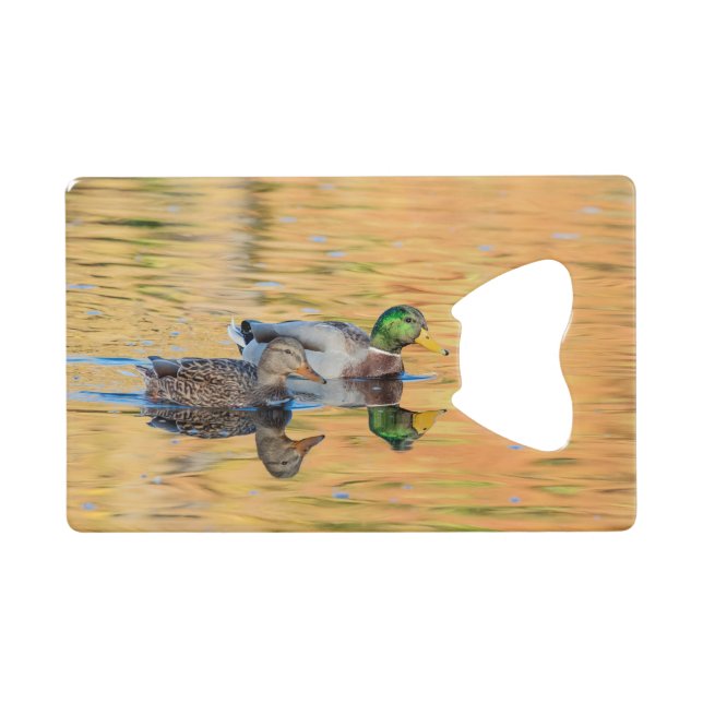 Paire de Mallards (Devant (Horizontal))