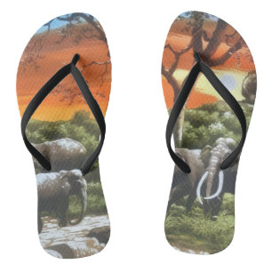 Paire de Tongs