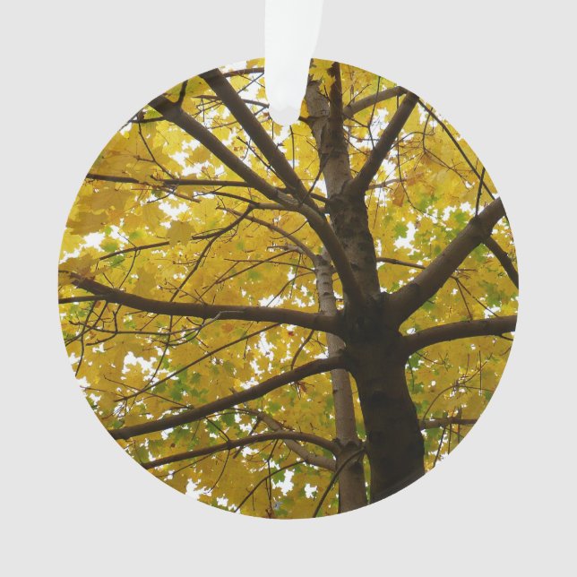Paire d'érables jaunes Nature d'automne (devant)