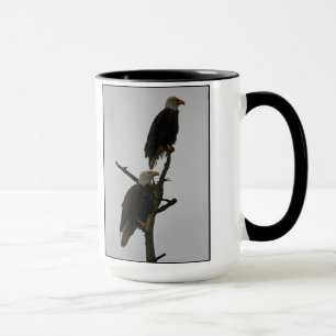 paires d'aigle chauve dans la tasse de pluie