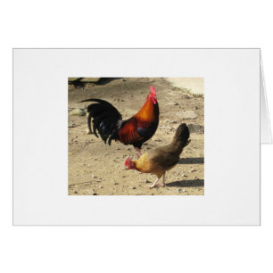 Paires de Gamebirds principal rond