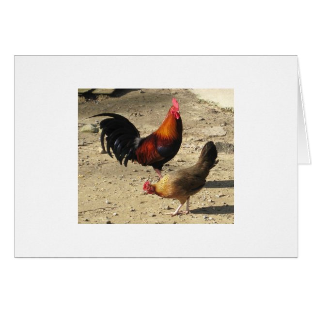 Paires de Gamebirds principal rond (Devant horizontal)
