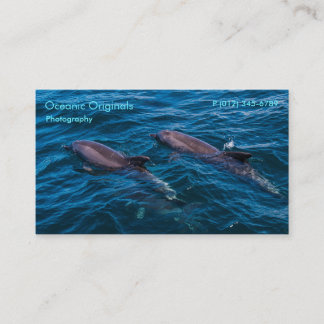 Paires de modèle de carte de visite de dauphins de