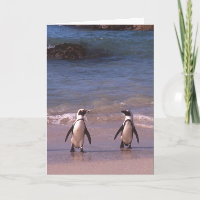 Paires de pingouin sur la carte de plage (Devant)