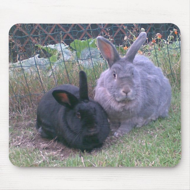 paires de tapis de souris de lapins (Devant)