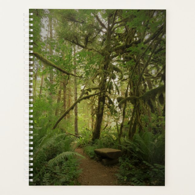 Paisible Green Forest Trail à Washington (Devant)