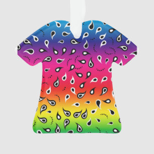 Paisley Rainbow