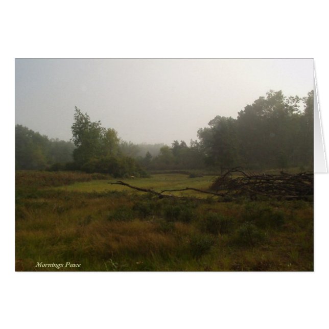 Paix de matins (Devant horizontal)