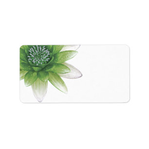 Paix l beaux étiquettes vides verts de Lotus