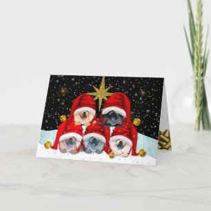 PAIX sur cartes d'art de la terre