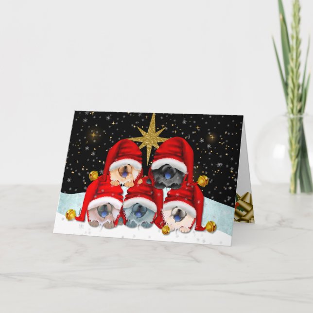 PAIX sur cartes d'art de la terre (Devant)