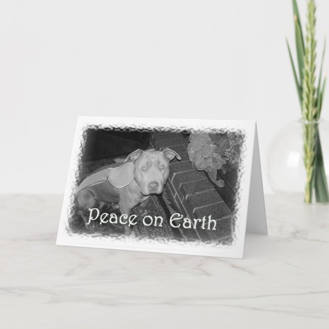 Paix sur la carte de Noël de la terre (pitbull) (Devant)