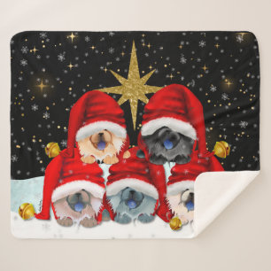PAIX SUR TERRE 5 chows couverture SHERPA