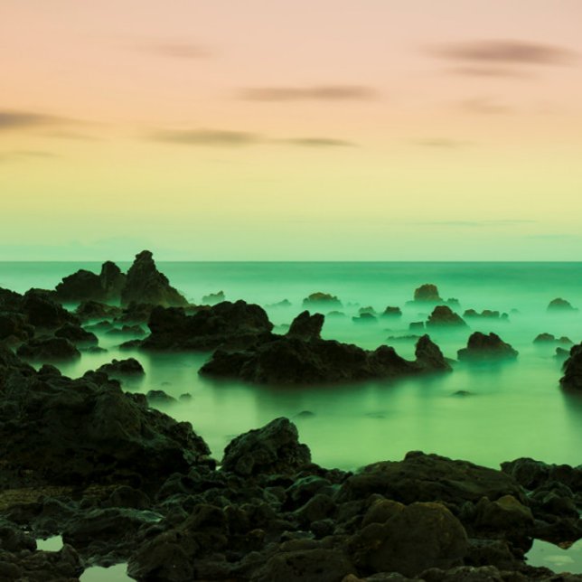 PAKE SAUMON - HAWAIIAN FINE ART CALENDRIER 2024 (Créateur téléchargé)