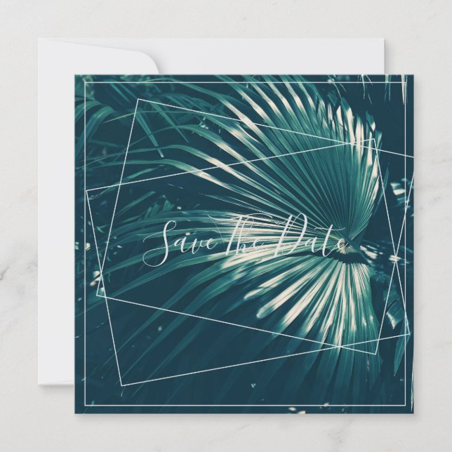 Pale Green Palm Tree Leaf Enregistrer La Carte Pla (Devant)