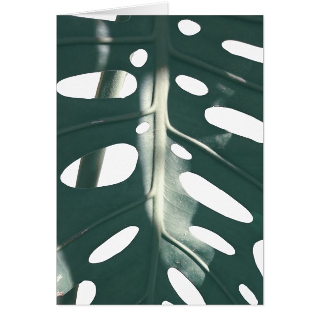 Pale Green Pastel Swiss Cheese Plante Carte de voe (Devant)