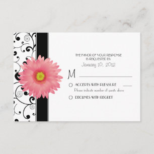 Pale Pale Gerbera Daisy Black Scroll Design RSVP