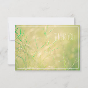 Pale Pastel Couleurs Champ Merci plat