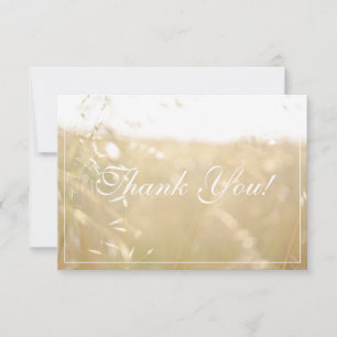 Pale Pastel Couleurs Champ Merci plat