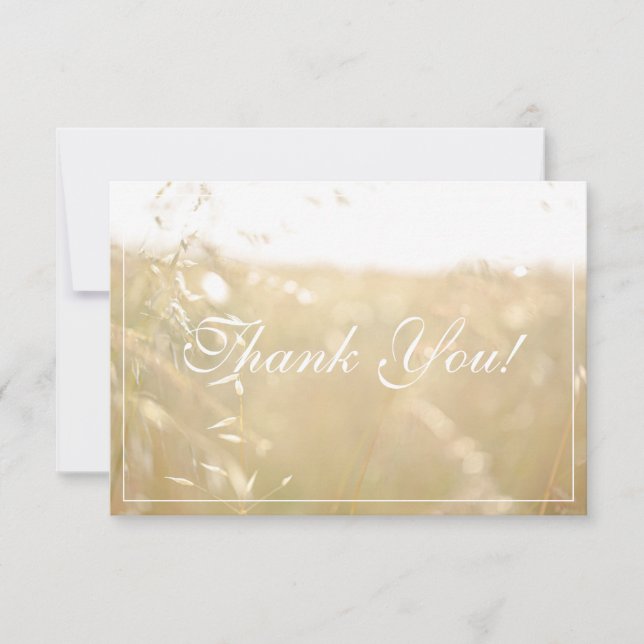 Pale Pastel Couleurs Champ Merci plat (Devant)