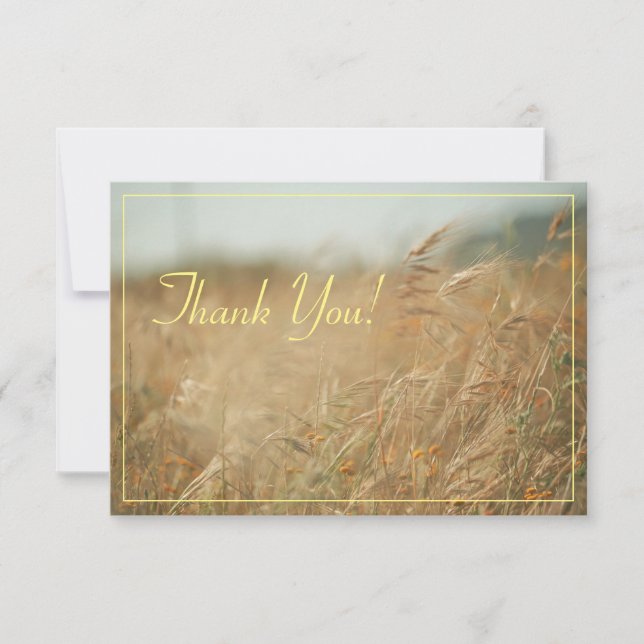 Pale Pastel Couleurs Champ Merci plat (Devant)