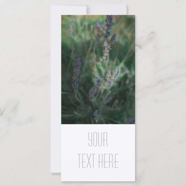 Pale Purple Lavender Ajouter Votre Carte Plat Text (Devant)