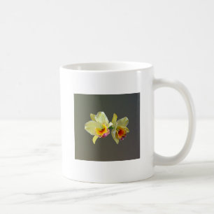 Pale Yellow Cattleya Orchidées Mug de café