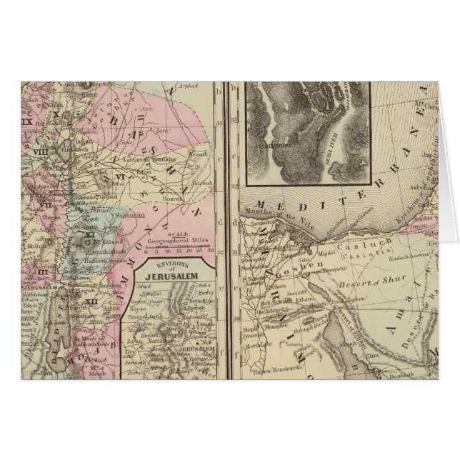 Palestine, Israël (Devant horizontal)