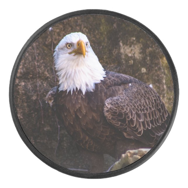 Palet De Hockey Aigle de Bald (Devant)