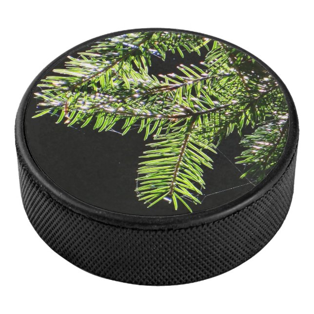 Palet De Hockey Arbre (3/4/2016 12:00:00 AM)