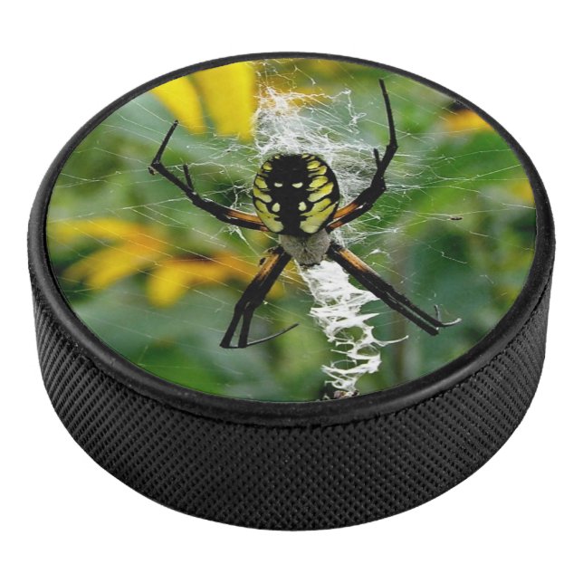 Palet De Hockey Awesome Photo Orb Spider dans le Web (3/4/2016 12:00:00 AM)