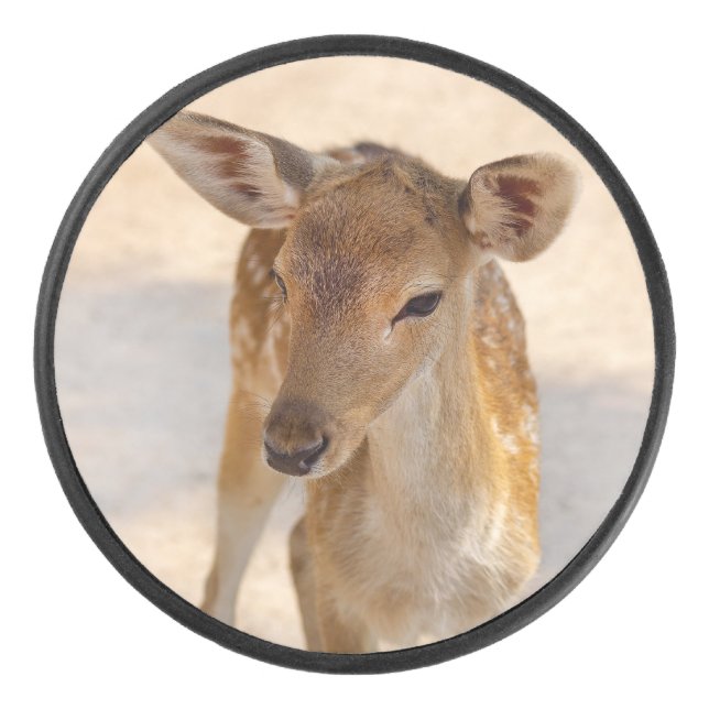 Palet De Hockey Baby Deer (Devant)