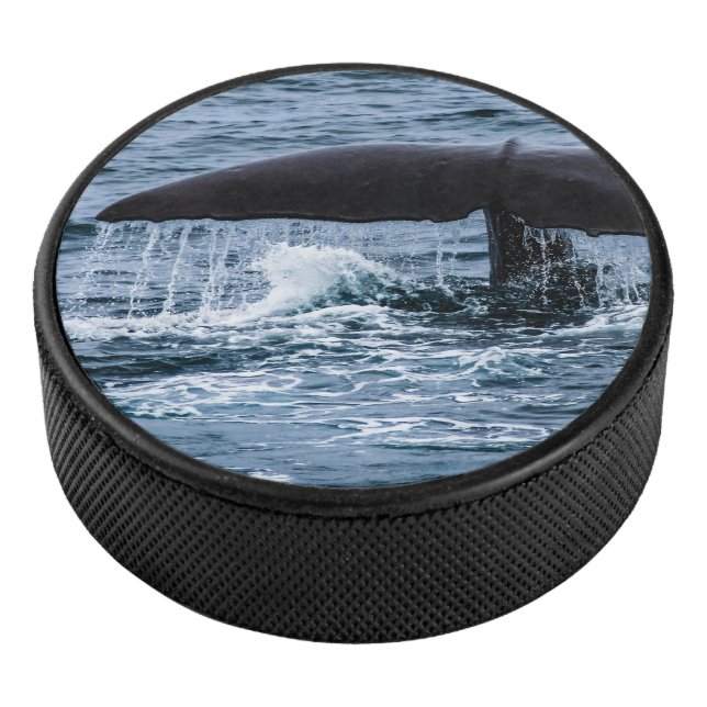 Palet De Hockey Baleine de Sperm (3/4/2016 12:00:00 AM)