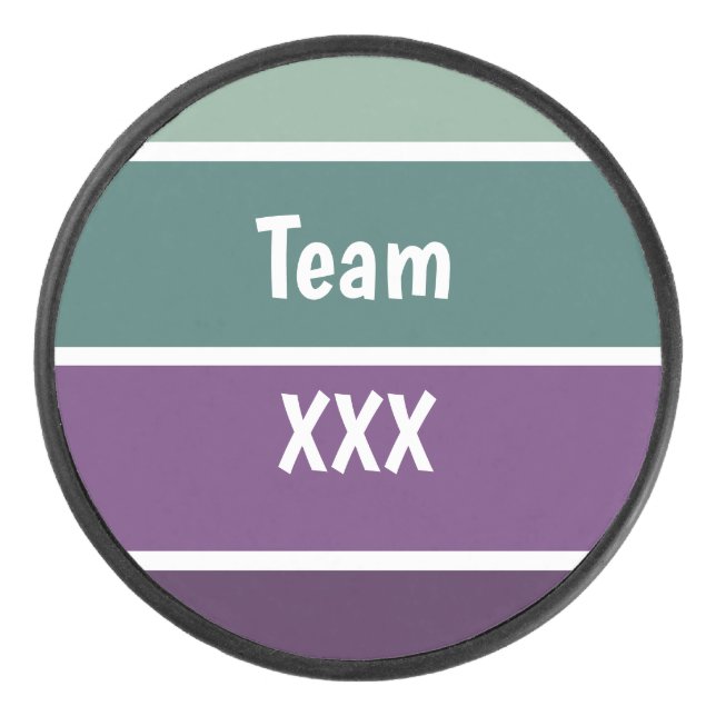 Palet De Hockey Bandes Vertes Et Violettes (Devant)