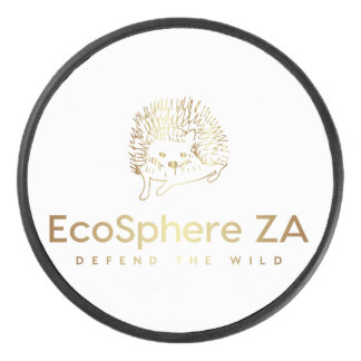 Palet De Hockey Camion