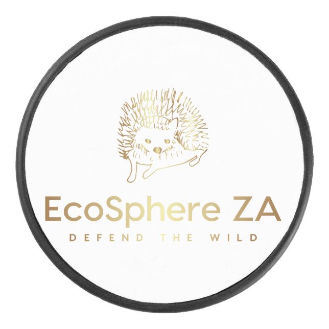 Palet De Hockey Camion (Devant)