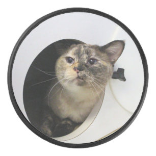 Palet De Hockey Cat
