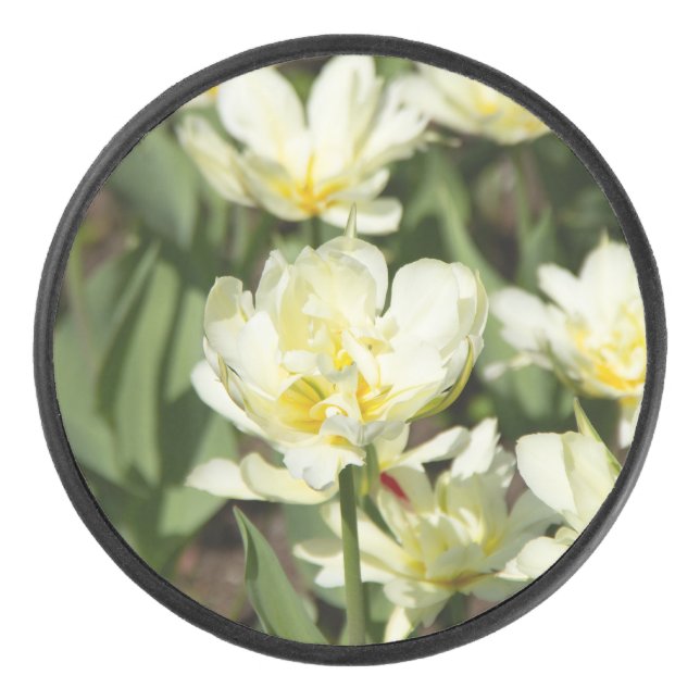 Palet De Hockey Champ de tulipes blanches (Devant)