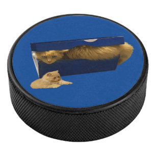 Palet De Hockey Chat Gingembre Drôle Dans Une Boîte À Chaussure, C